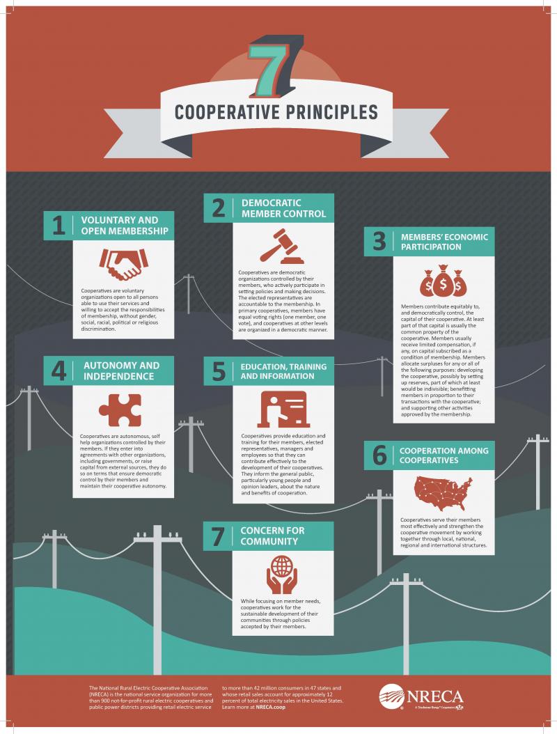 7_Coop_Principles_Infographic-800x1054.jpg