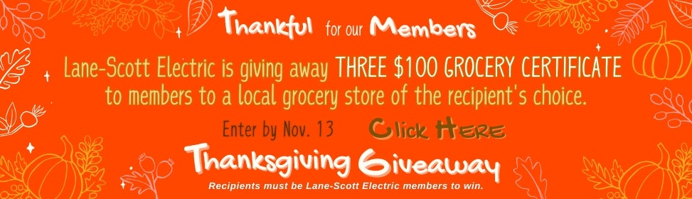 Thanksgiving GIveaway