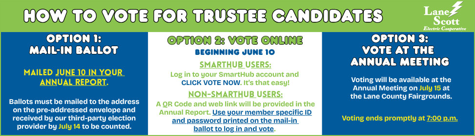 How to Vote