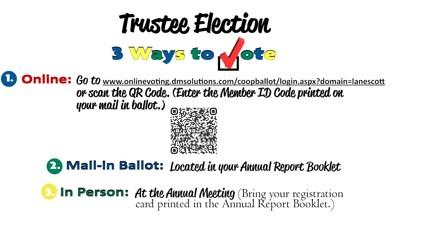 3 Ways to Vote