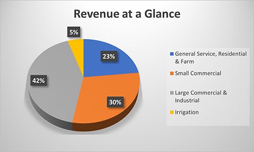 Revenue at a Glance 2025