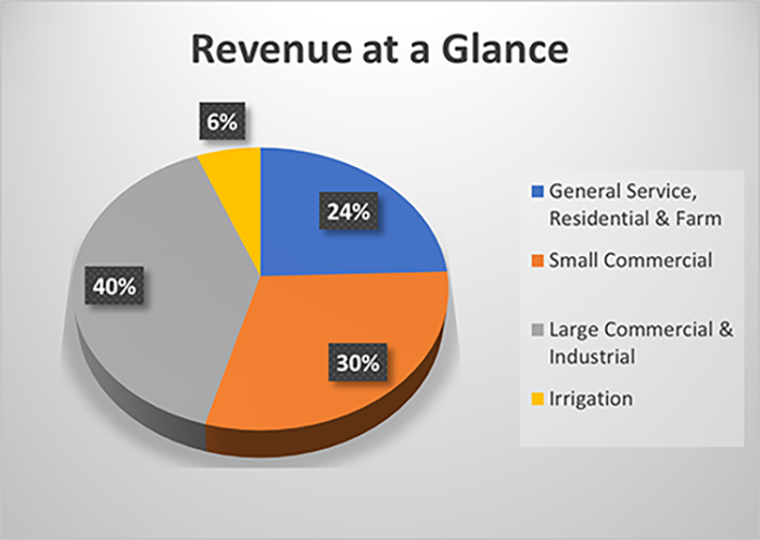 Revenue at a Glance